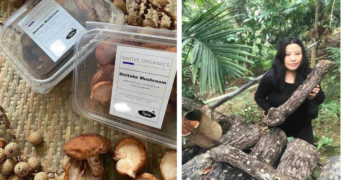 Shiitake mushroom products by Native Organics are grown organically and through a technique called pollarding.