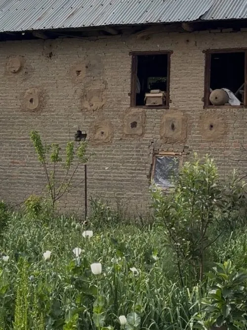 Traditional mud hive used for beekeeping in Kashmir by organic honey farmer Shabir Itoo.