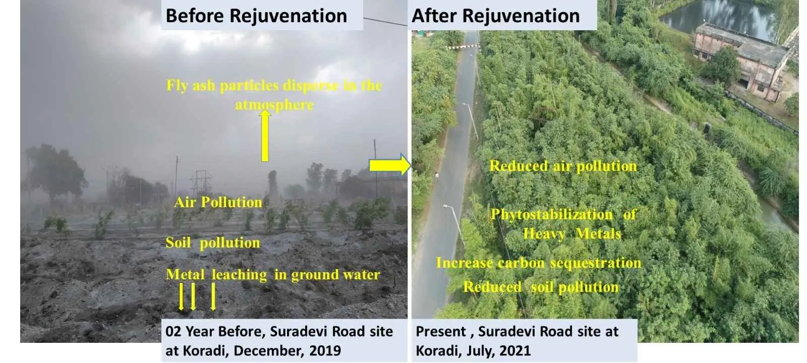 Eco-Rejuvenation Technology