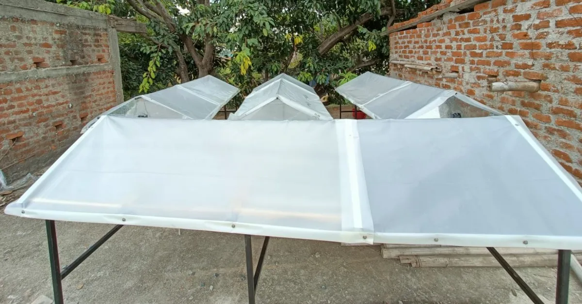 Solar dryers introduced under JH-RESET helped farmers cut crop losses and boost tomato profits by 30 to 40 percent