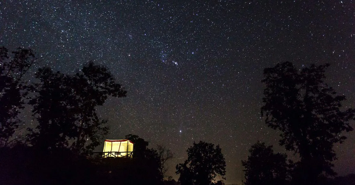 At Jamtara Wilderness Camp the Star Bed concept allows guests to experience a night under the Milky Way 