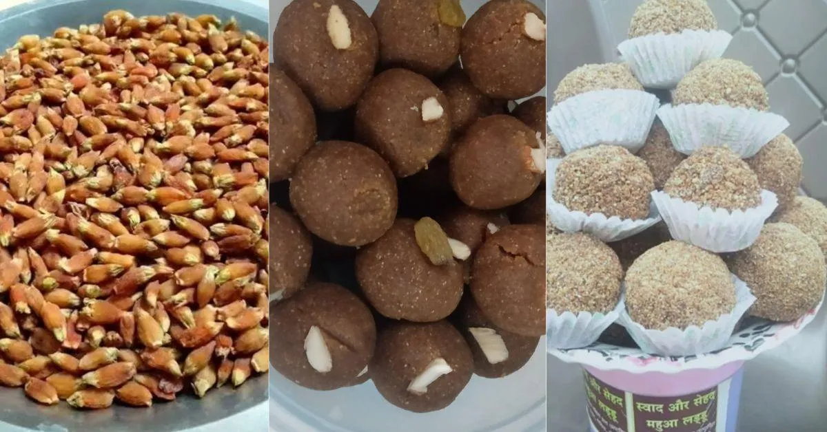 With guidance from SAMVAD and Climate Asia, villagers shifted from brewing liquor to producing Mahua-based pickles and sweets.