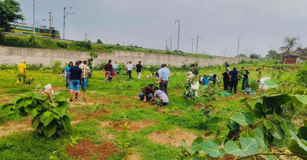 Over 3,000 trees now grow on the site, which has become a habitat for local wildlife and a recreational area for residents.