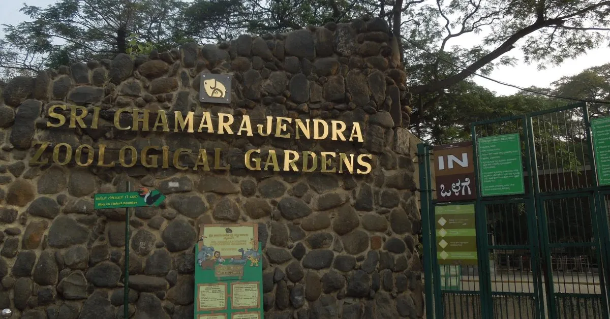 Begin Saturday with a visit to the Sri Chamarajendra Zoological Gardens, Mysuru Zoo; Picture source: Thrillophilia