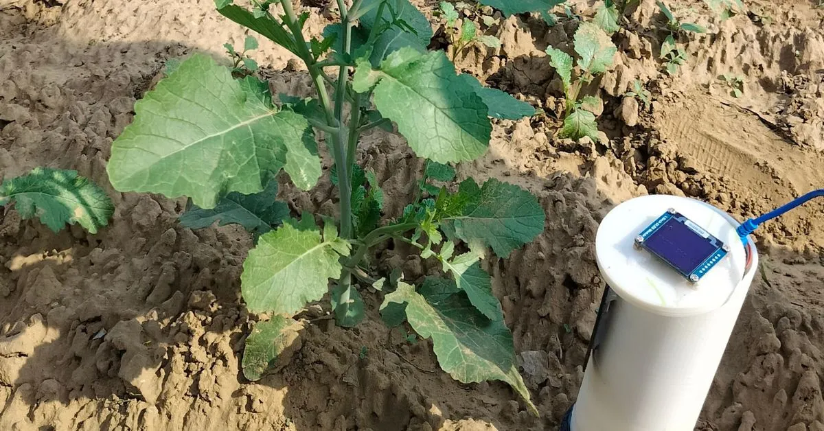 The farmers receive the results about their crops in minutes, through the Agroww app