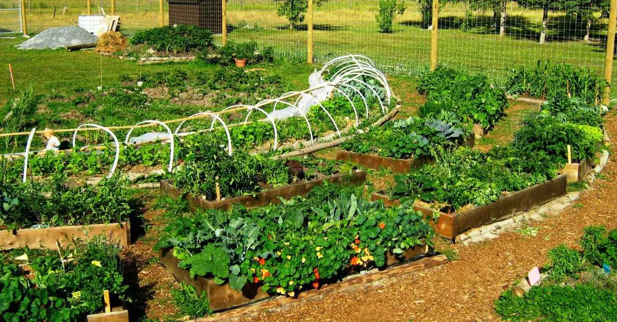 Permaculture is a way of farming that works with nature instead of fighting it; Picture source: green.org