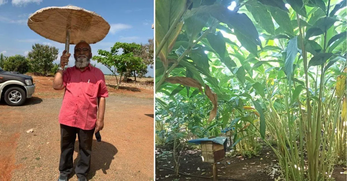 Iyer transformed barren land into fertile soil using organic matter and banning chemicals and plastics.