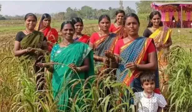These women stood out for their sustainable farming practices, millet revival initiatives, and unwavering commitment to food and nutritional security.