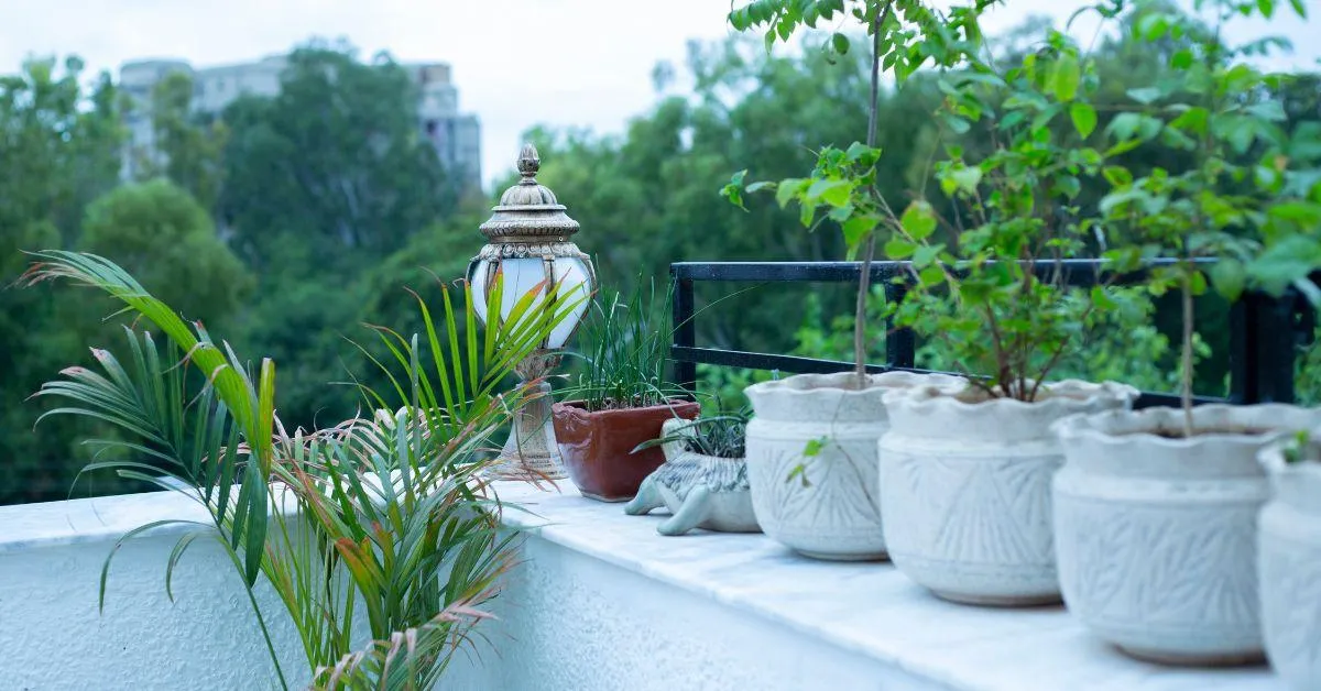 With a bit of planning, your forest can double as an edible garden.