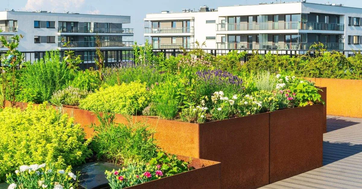 Urban terrace forests are slowly changing the way Indian cities breathe—both literally and metaphorically.