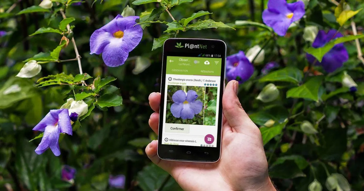 Kids can learn how to spot the difference between plant species, track seasonal blooms or even understand which species are endangered