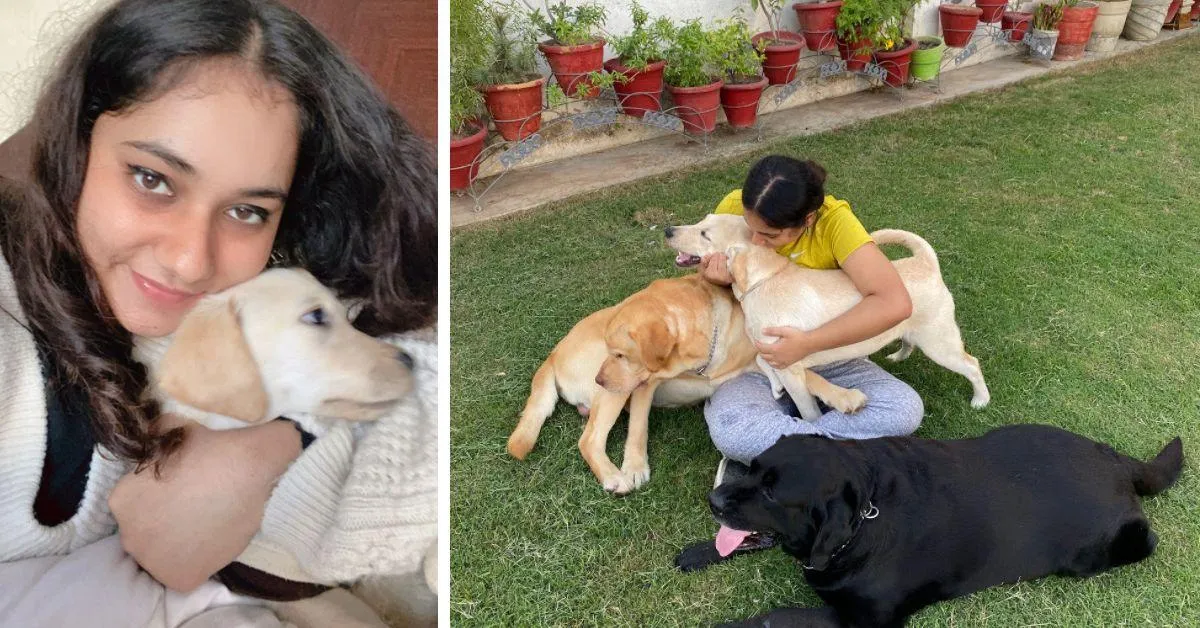 International Dog Day TBI pets
