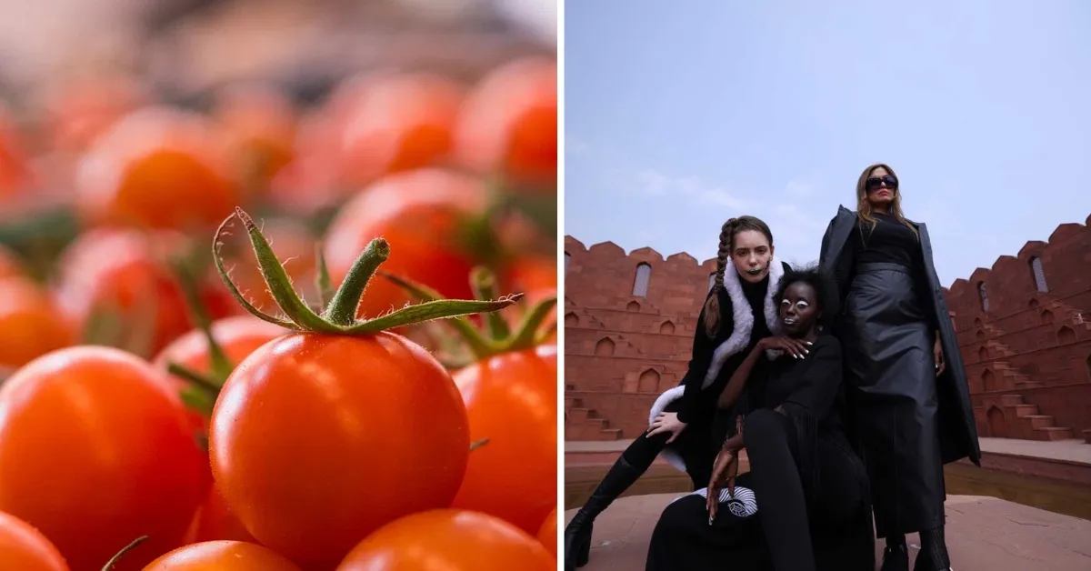 Tomato waste is transformed into Bioleather by The Bio Company, now used in fashion, bags, and footwear.