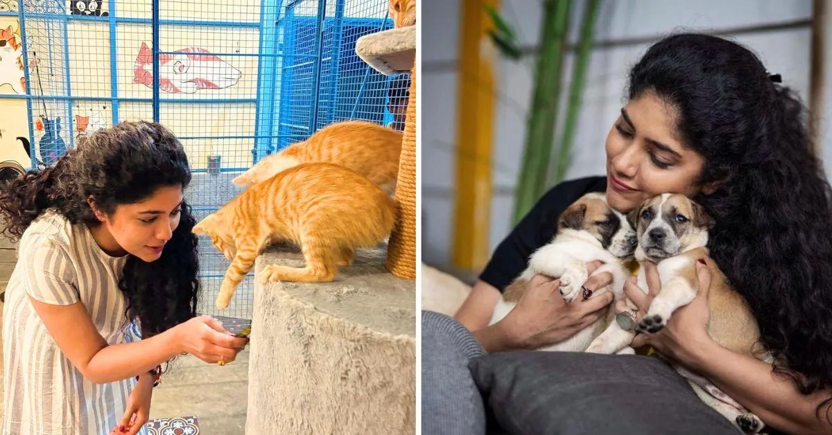 Samyukta Hornad rescues animals and sees to their rehabilitation