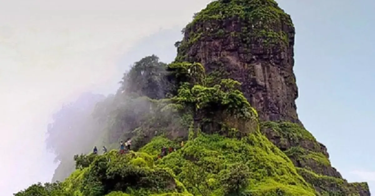 With fresh air, natural beauty, and a sense of adventure, Karnala makes the perfect destination for a relaxed family getaway; Picture source: Medium