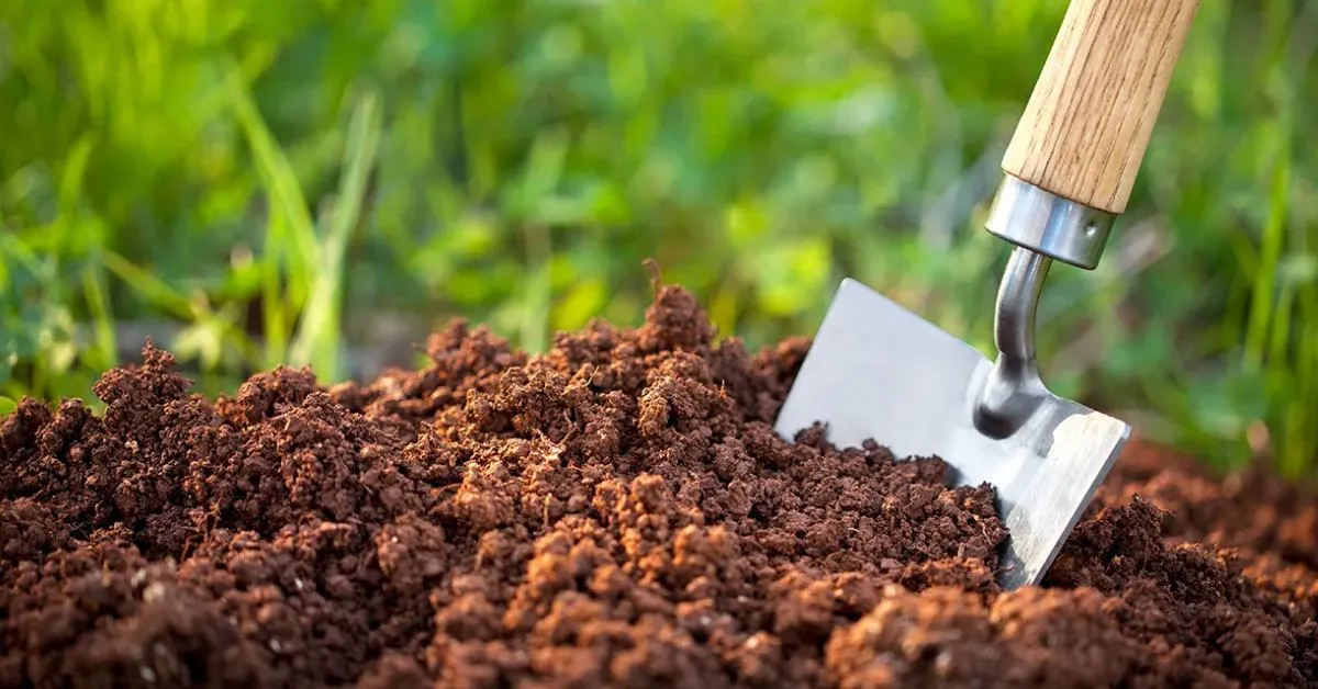 It is important to manage the soil after rain so that you can grow healthy crops; Picture source: The Tree Center