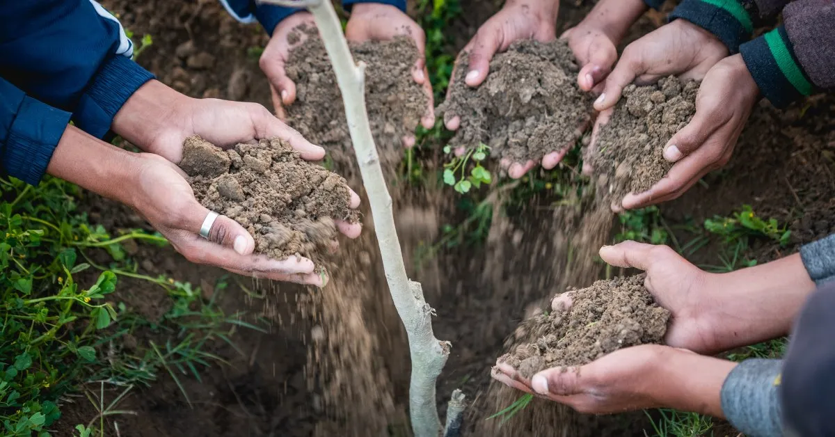 The Billion Tree Project (TBTP) was started in March 2019 to promote planting trees in Punjab villages