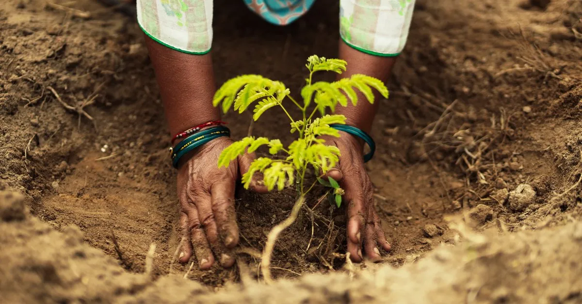 The Billion Tree Project helps to plant trees and is a consistent source of livelihood for many villagers, especially women