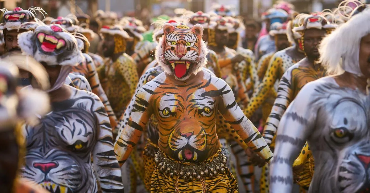 In Pulikali, performers painting their bodies in vivid colours to resemble tigers.