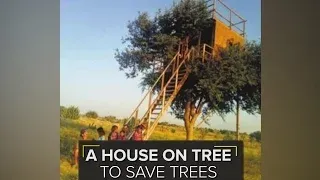Eco-friendly tree house