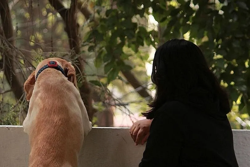 Nivedita Kumar's focus is on bringing up a confident pet; Image: Confident Dogs  