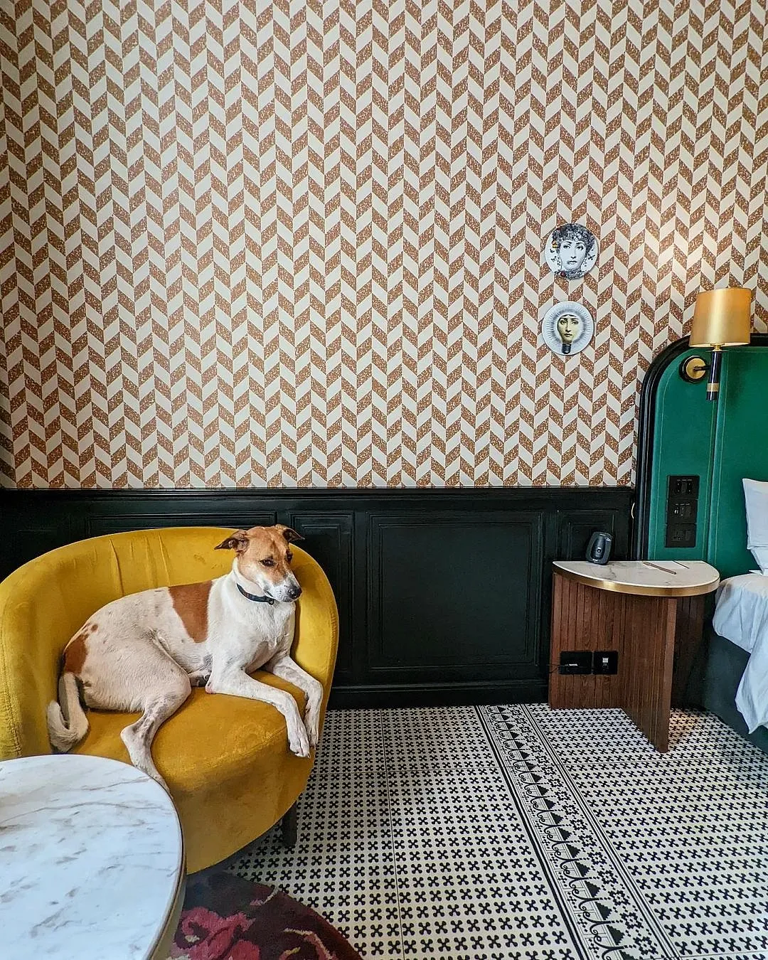 New DelhiWhen staying in the capital city, check into The Connaught, where pets are welcomed with open arms, special menus and luxurious beds. While the city has several pet-friendly options, Andaz, Delhi is another haven for canines to felines and even fish. Both hotels offer all the amenities and luxuries a pet could dream of. Puppychino Cafe is a great place to grab a bite as your pups enjoy themselves in a separate play area.Pictured here: The Connaught 