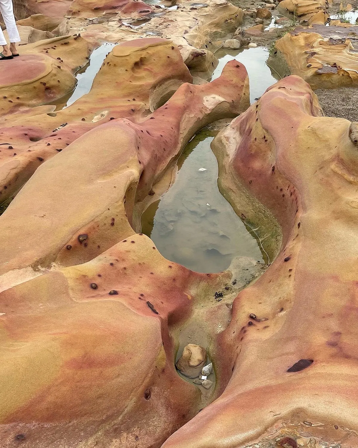Tocks near the village of Kadiya Dhro in Kutch has been listed by The New York Times as one of 52 Best Places to Visit in 2021 