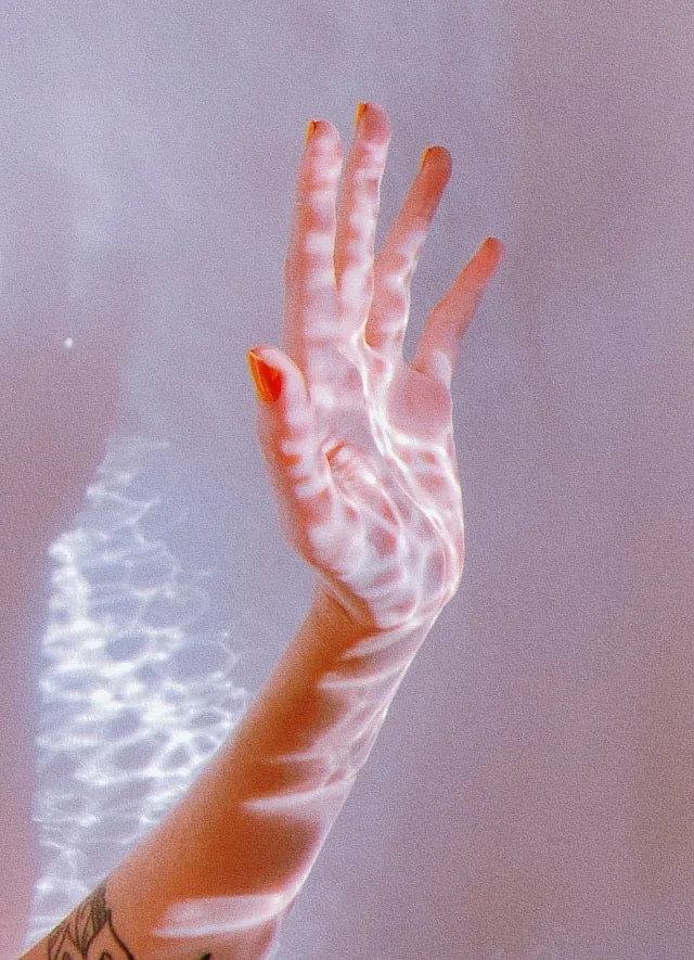 The light remains in the north-west unil sunset so the whole house was designed between these two directions. Image: Pexels 