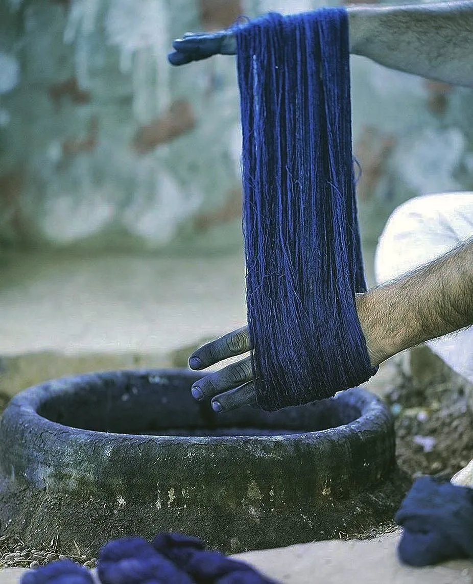 At Jeevan Indigo, the team keeps learning new aspects to the mysterious world of indigo 