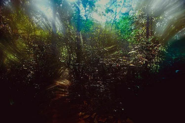 Kirthana Devdas @kidevdasChennaiThrough a partially closed window, the photomaker spots a car, which she says is pink in colour. “It’s purple,” says a follower of Kirthana Devdas’s image. It could be, Devdas concurs. While Devdas’s work is not strictly focused on the street or the city, it tells us whimsical stories. Part of the photo collective called 8.30 that was formed during the COVID-19 lockdowns, Devdas is both independent and collaborative in nature. At times, she evokes music in her images, asking followers what they are listening to or what tune they recall when viewing her photos. Interspersed through the trippy account are occasional glimpses of people, animals, foliage and life as Devdas sees it, whether it is in Kutch, Mumbai or Chennai. 