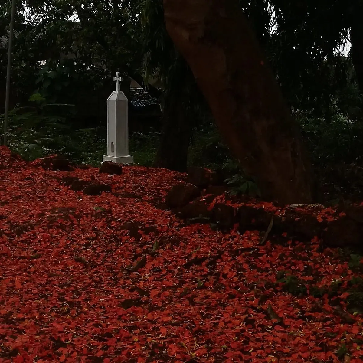 Vinita Barretto @vinita_barrettoGoaTo set the record straight, Goa is a state not a city. But it’s a small state. And for the purpose of this feature, photographer Vinita Barretto’s work is a perfect fit. Barretto’s portraits of her home state are tightly composed close-ups of frames that are otherwise rarely documented about Goa. She captures the light and shadow of a state that is almost always photographed in vivid technicolour, by seeking beauty in the most mundane of elements– a fallen flower petal, a cat springing in action or even two seemingly abandoned, dirty plastic chairs. It’s an intimacy of a photographic kind. Her work on another account: @vinitabarrettophotography comprises a series of portraits of babies, brides, parents-to-be and family moments. 