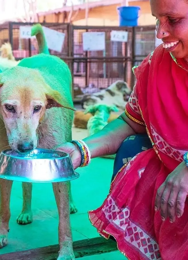 As citizens we need to adopt the principle of ‘live and let live’ where our streeties are concerned; Image courtesy: Animal Aid  