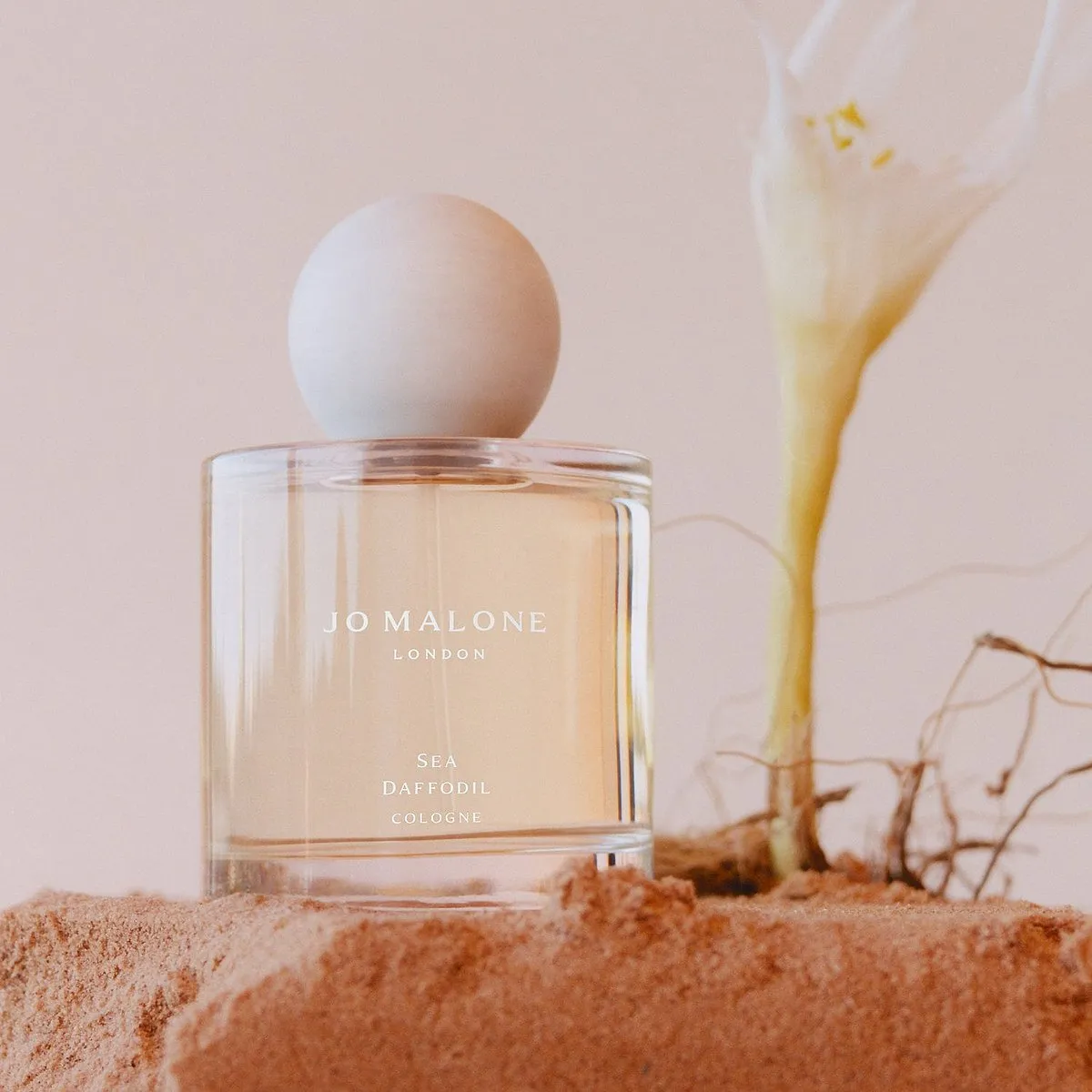 Jo Malone London Sea Daffodil CologneShop here₹ 9,900If you’re into a solar floral, this luminous and radiant pick has the warmth of vanilla entwined with creamy sandalwood along with the fresh, aqueous notes of sea daffodil. Spray it on when you need a mood-boost the most. 