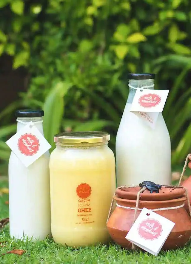 Milk and Meadows, is a single source a dairy business based in Jaipur  