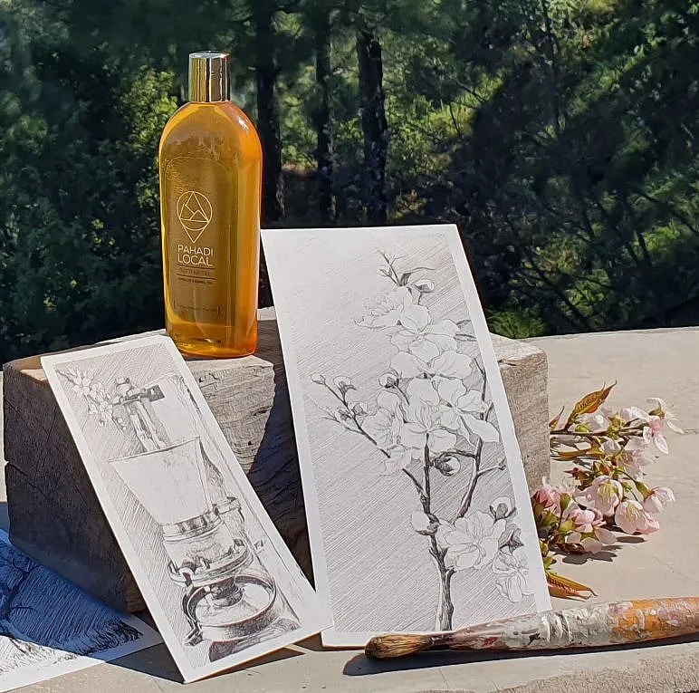These illustrations were done in creative collaboration with artist Usha Hooda 