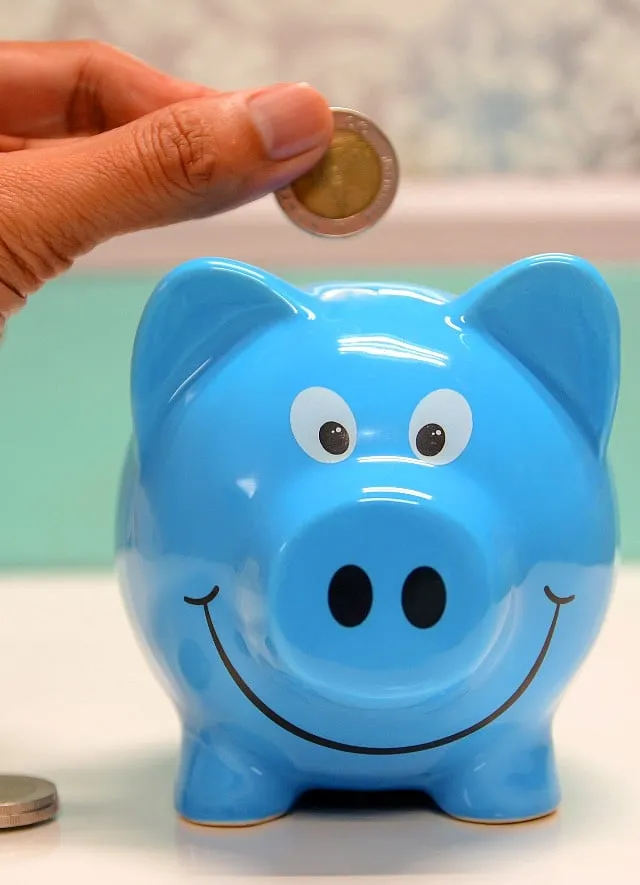 MFs offer high returns over a long period of time, making them a popular choice for investors. Image: Pexels 
