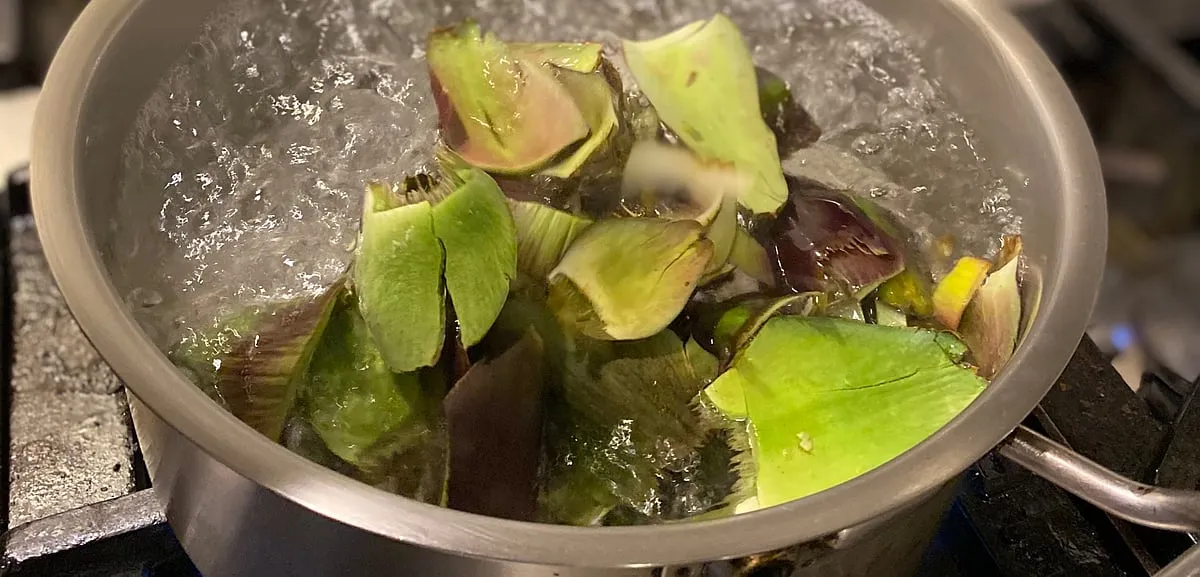 Bars across India are now working with food waste to add flavour, colour or even make entire spirits from scratch. 