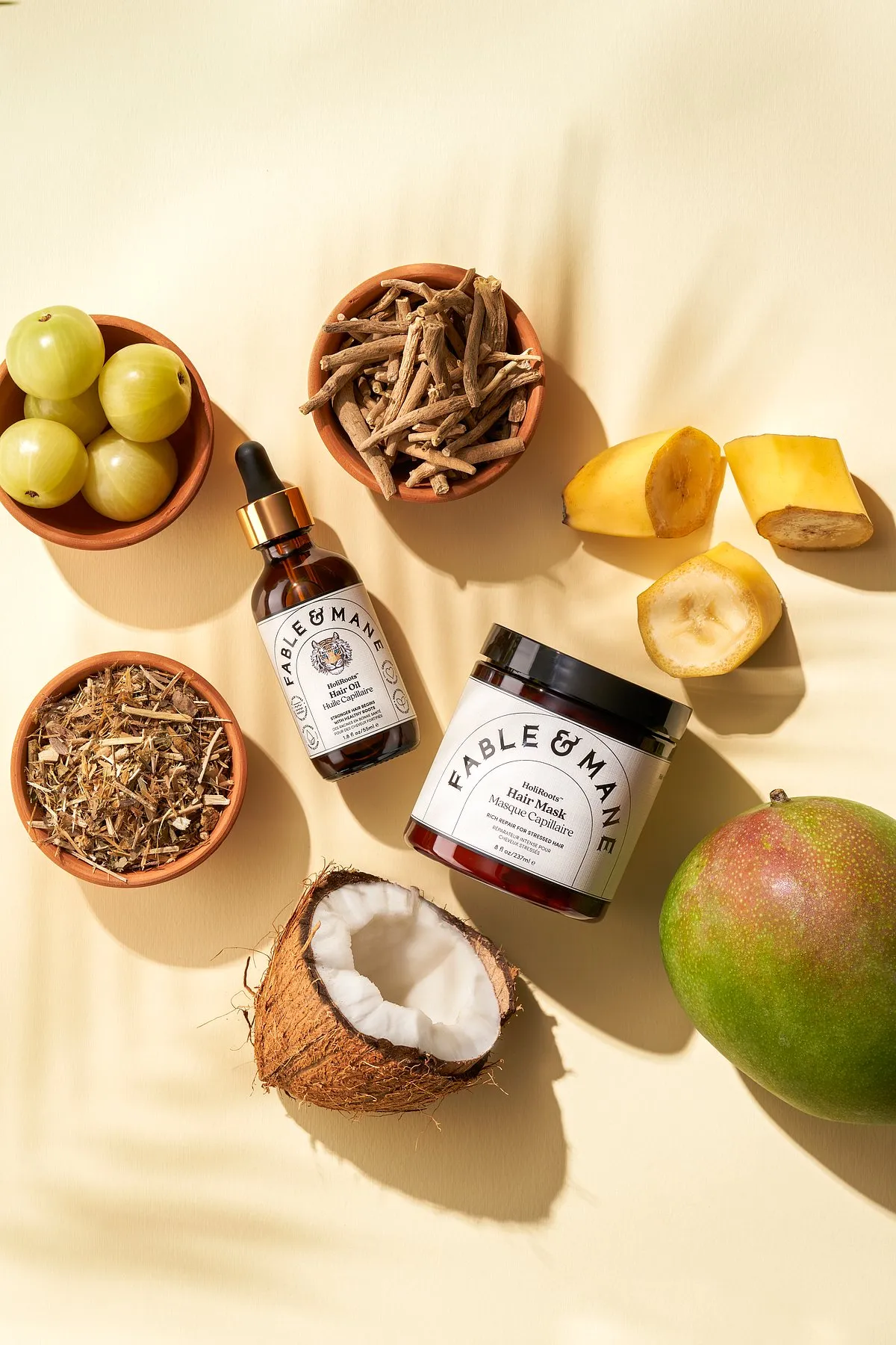 Fable & Mane was created to bring Indian beauty secrets to the world as a homage to our roots, blending ancient wisdom with modern science say the founders 