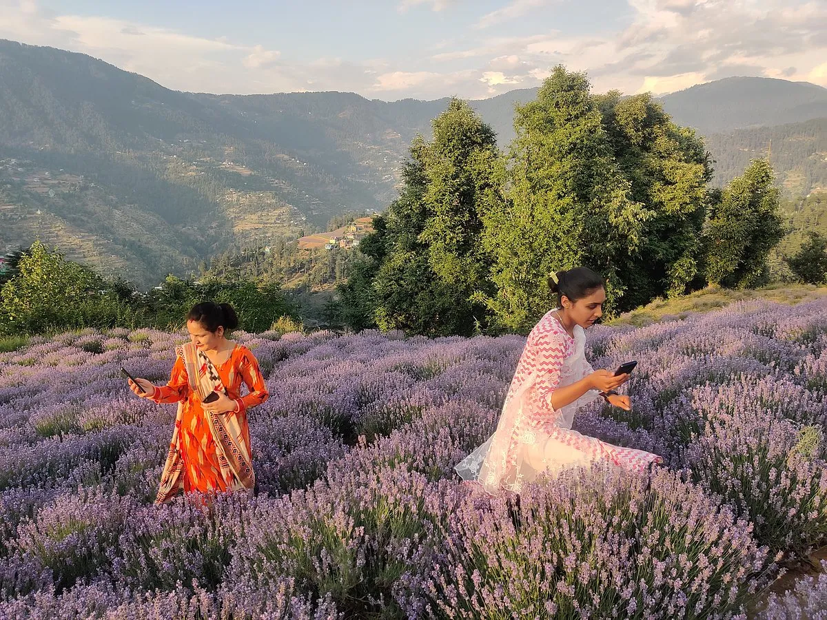 According to the ‘India Inequality Report 2022: Digital Divide’ released by the non-profit organisation Oxfam India earlier this week, Indian women are 15 per cent less likely to own a mobile phone and 33 per cent less likely to use mobile internet services than men. Image: Pexels 