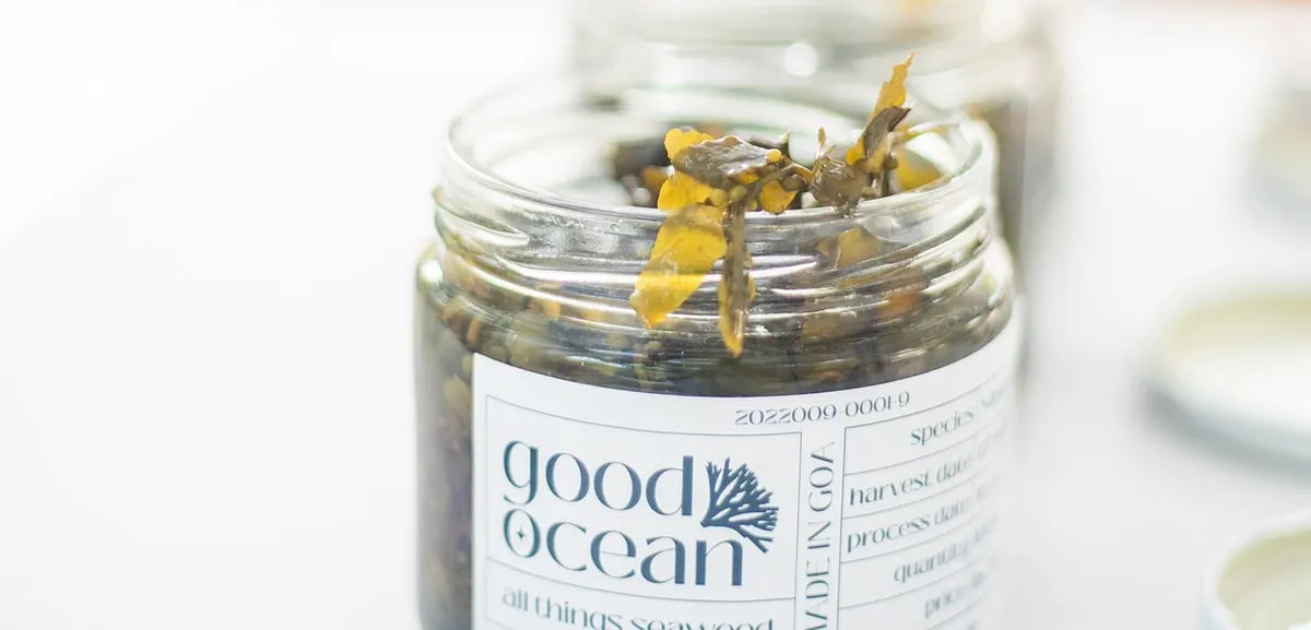 Along with the mountains, India’s vast 7,500 km of coastline boasts another source of nutrition that can be foraged but hardly ever has been. Goa-based The Good Ocean, run by marine conservationist Gabriella D’Cruz, is changing that. 