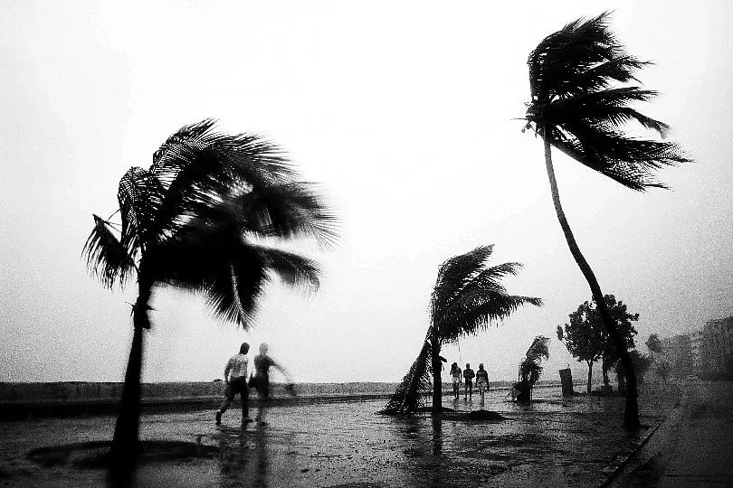 If we thought 2022 was a sad anomaly compounded due to delayed rainfall, premature pre-monsoon showers followed by a long dry spell and a stressed global supply chain owing to the Russia-Ukraine War that was responsible for a slow wheat sowing season. Image: Getty  