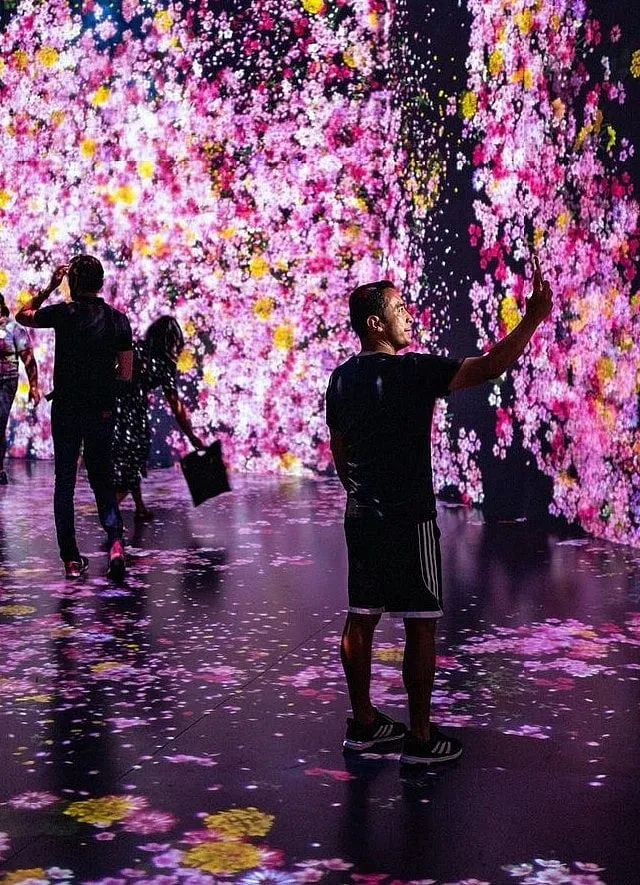 teamLAB's Superblue Miami 