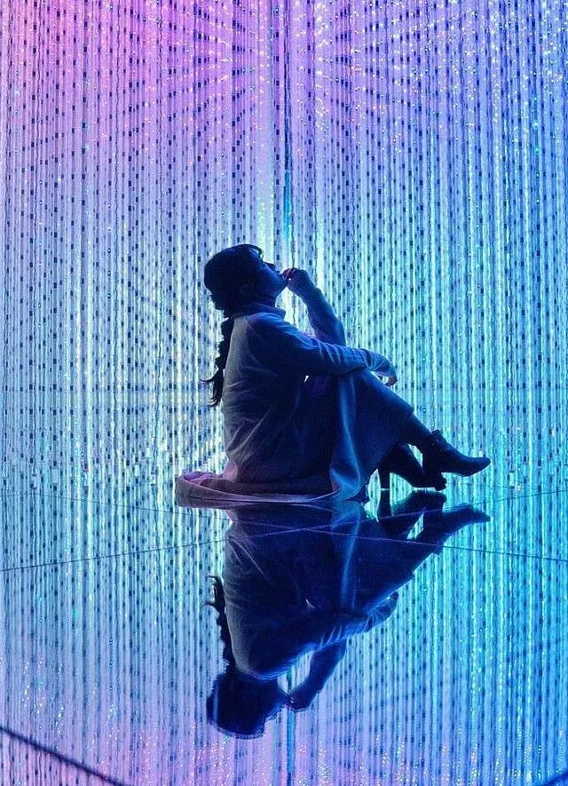 teamLAB's Borderless 