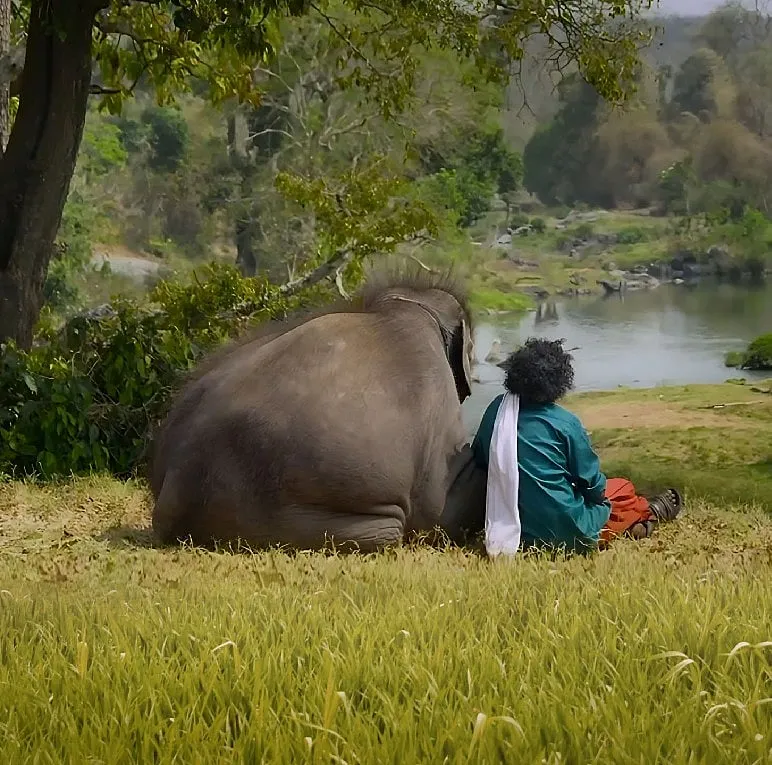A still from 'The Elephant Whisperers' 