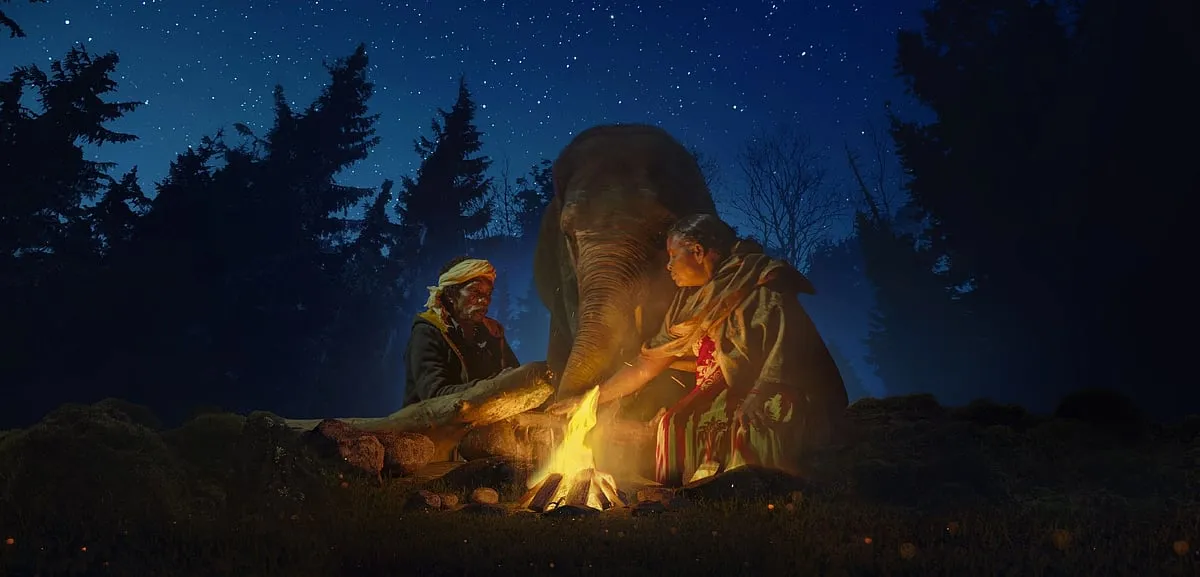 What unravels when a tribal couple decides to foster an orphaned baby elephant? 