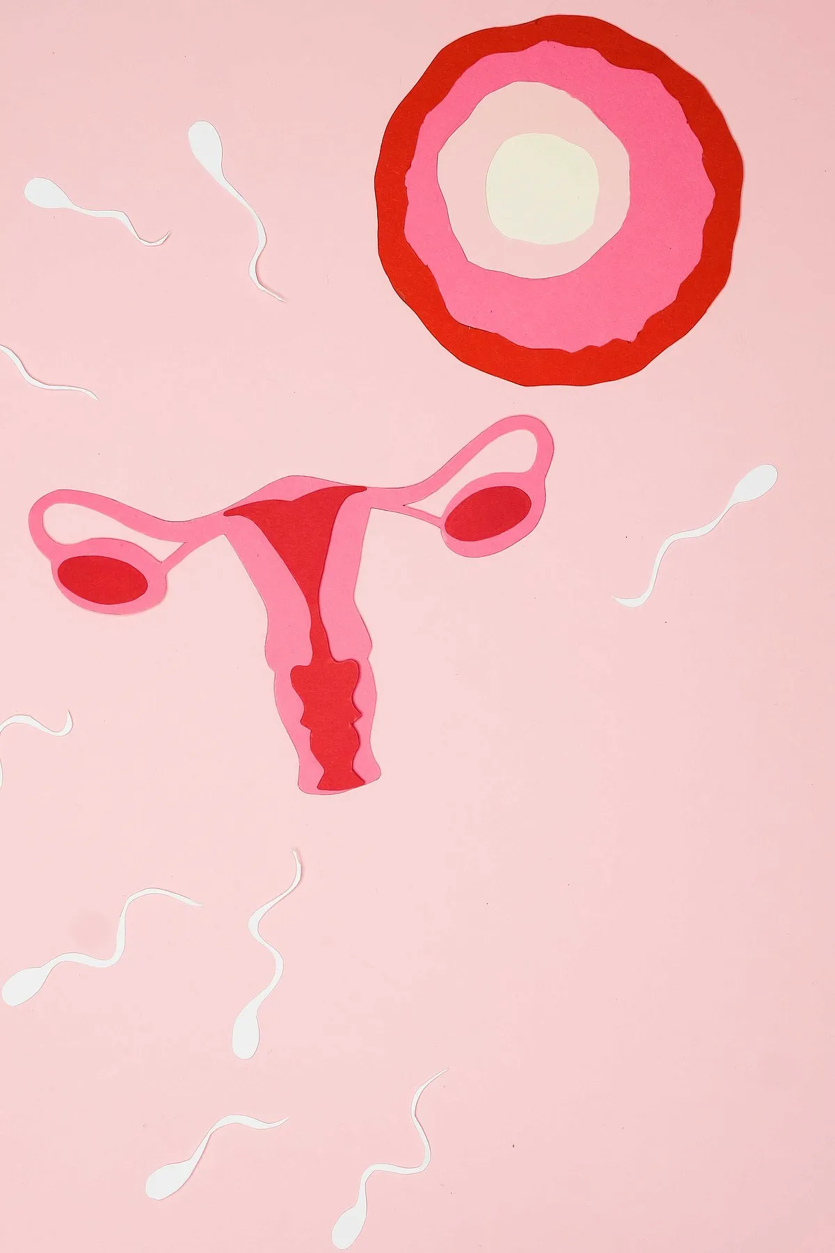 Delaying pregnancy—whether it is owing to your career, a bad relationship, lack of a relationship, or just because some women would want to—should not be something they are punished for. Image: Pexels 