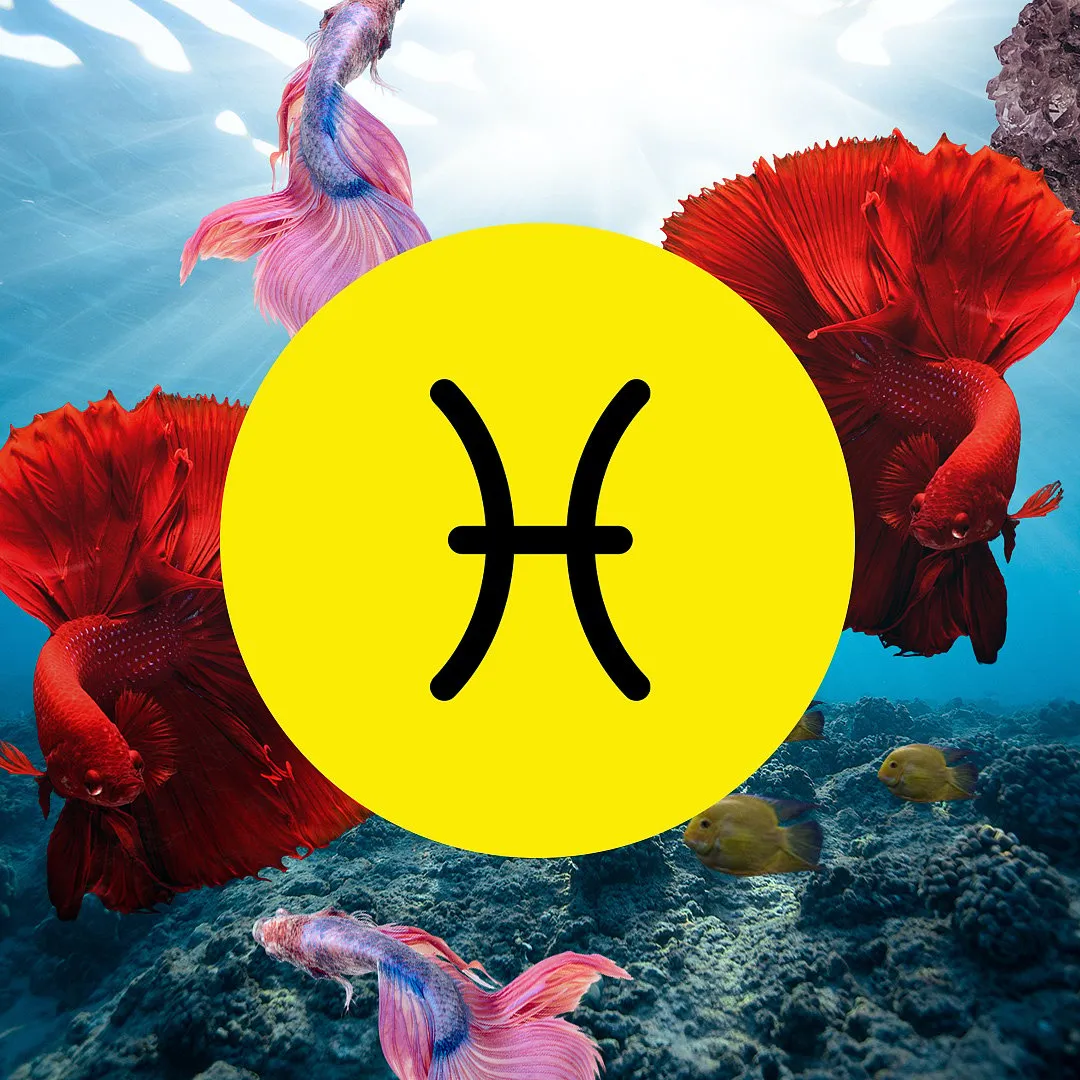 Pisces (February 19-March 20)May will be extremely productive, with more and more responsibilities. You need to be open to exploring new opportunities or change the way you work. Expect a positive response post 17th May. There can be slight chaos or a slowdown after 22nd May. Pensive payments will clear after the 16th. Expect money from family members after 24th May. Health will be stable but you will be constantly exhausted and drained. Balance your eating patterns. There will be slight stress on the family front between 17-28th May due to others feeling insecure. Spend quality time with your family members. Your partner's health will need attention between 19-26th May. Social life will be hectic with reunions or obligations to attend. After 22nd May, you'll make a conscious effort to slow down.Karmic tip: Be more flexible. 