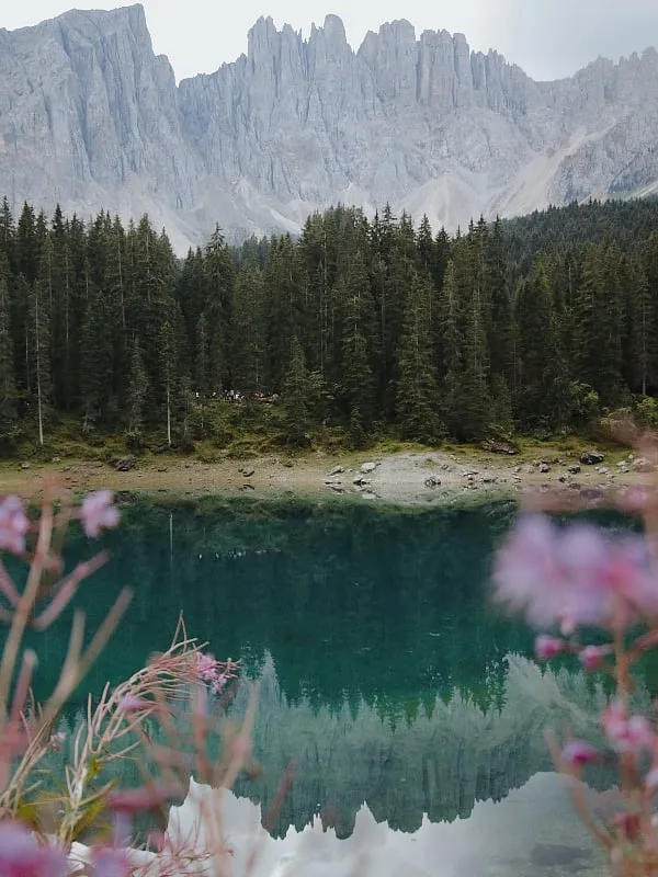 “Swiss Glacier extract includes microorganisms excavated from the Swiss glaciers,” says  Dr Madhuri Agarwal Image: Pexels 