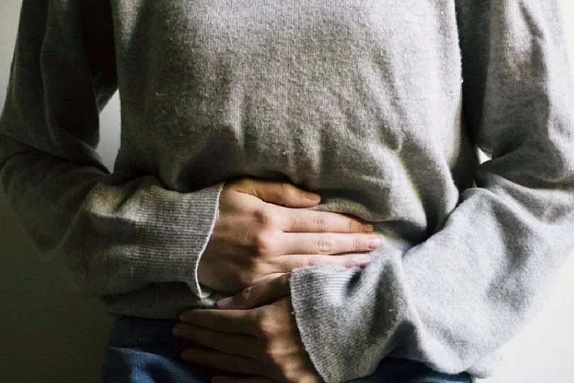 Oral contraceptive pills are  beneficial for women transitioning  premature menopause to absolute menopause 