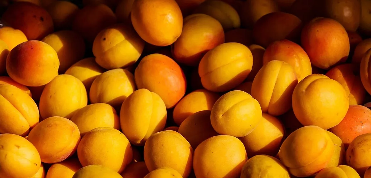 “Retinol is found naturally in foods like mango, pineapple, carrot, pumpkin, apricot, peaches, milk and egg yolk; basically, yellow and orange-coloured fruits and vegetables are great sources,” says Samreedhi Goel, a Mumbai-based nutritionist. Image: Pexels 